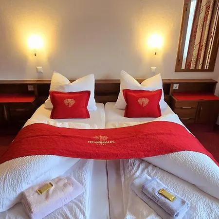 Rossmann Hotell 3*